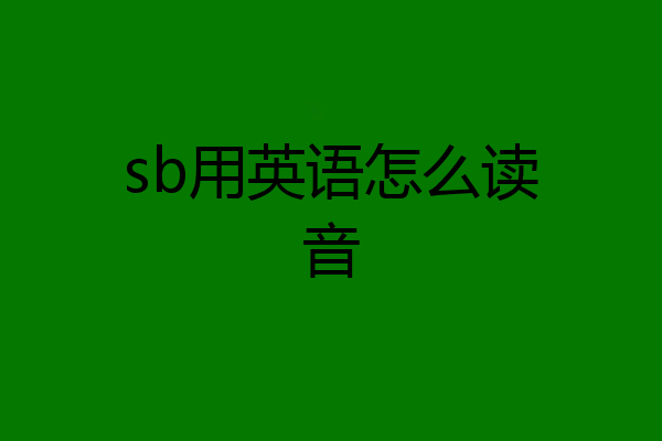 sb用英语怎么读音