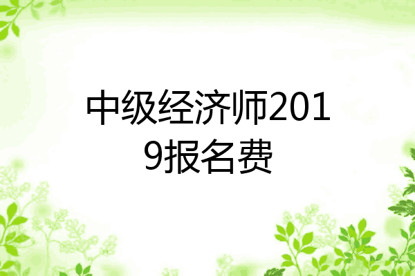 中级经济师2019报名费