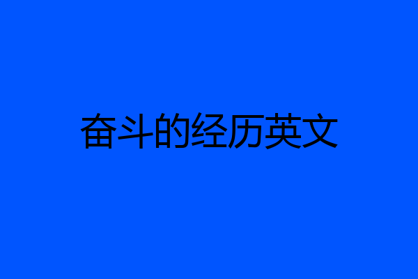 奋斗的经历英文