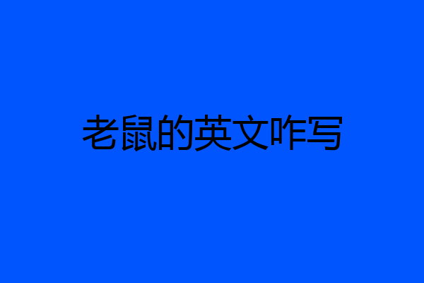 老鼠的英文咋写