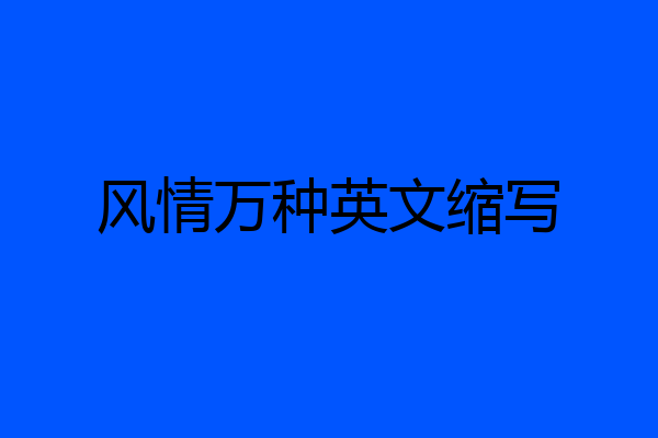 风情万种英文缩写