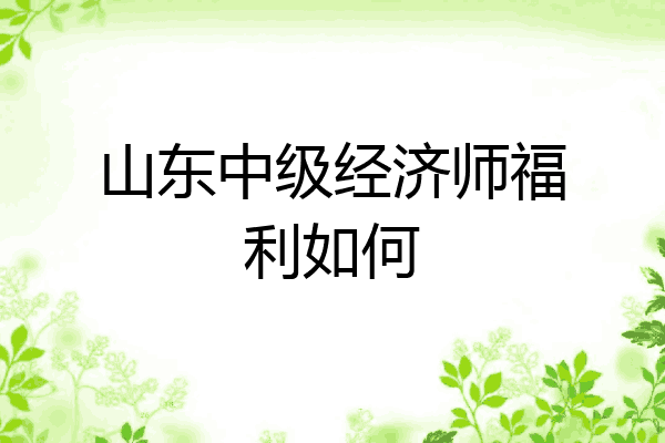 山东中级经济师福利如何