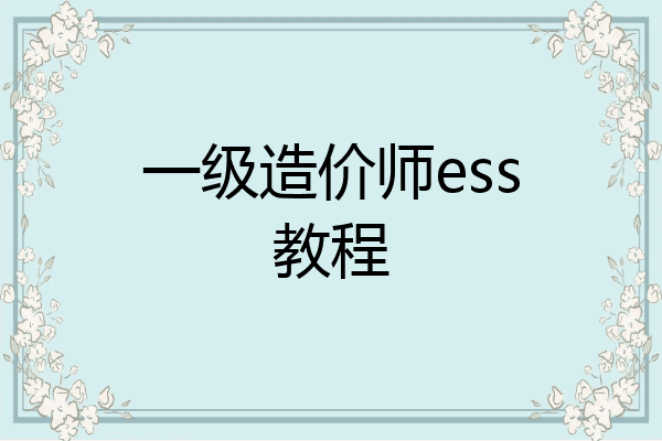 一级造价师ess教程