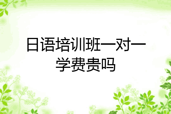 日语培训班一对一学费贵吗