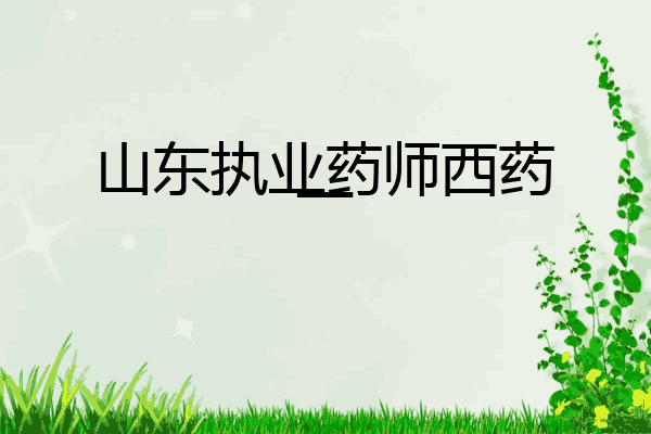 山东执业药师西药一