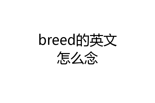 breed的英文怎么念