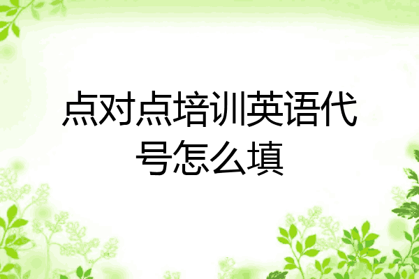 点对点培训英语代号怎么填