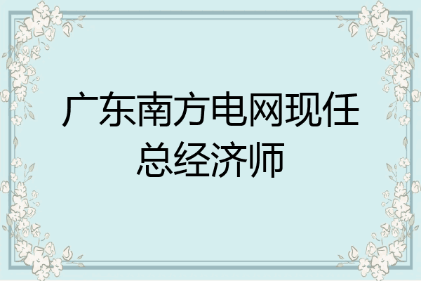 广东南方电网现任总经济师