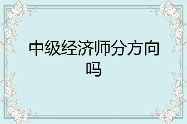 中级经济师分方向吗