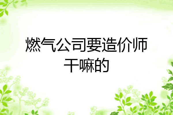 燃气公司要造价师干嘛的