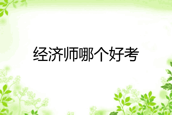 经济师哪个好考