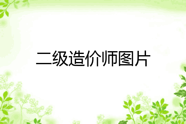 二级造价师图片