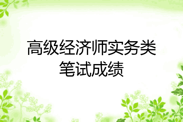 高级经济师实务类笔试成绩