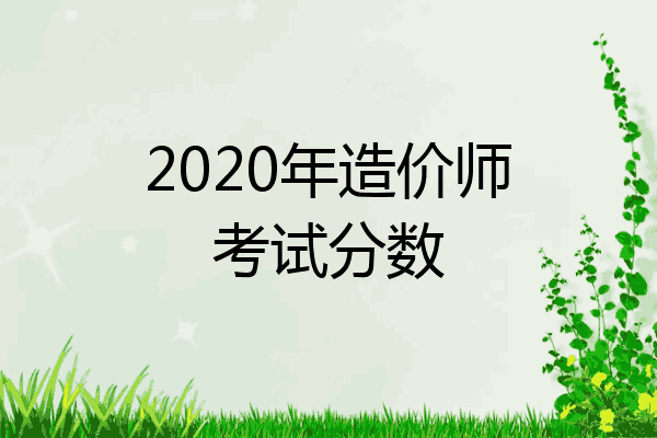 2020年造价师考试分数