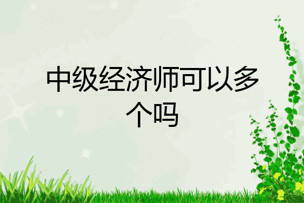 中级经济师可以多个吗