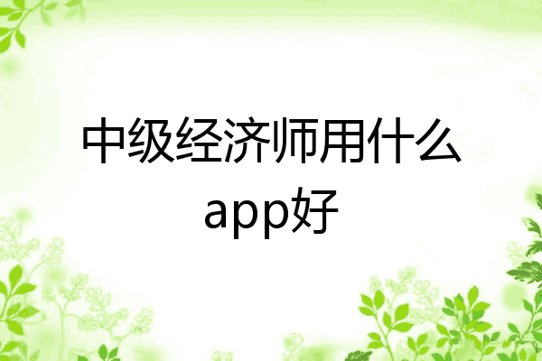 中级经济师用什么app好