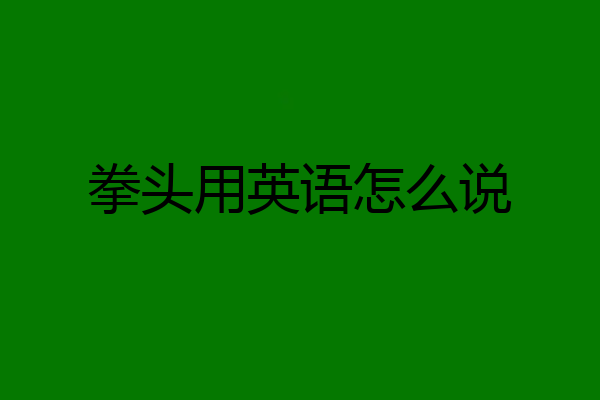 拳头用英语怎么说