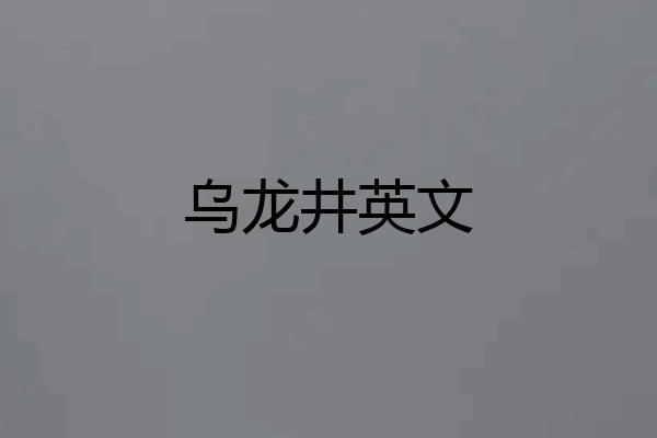乌龙井英文