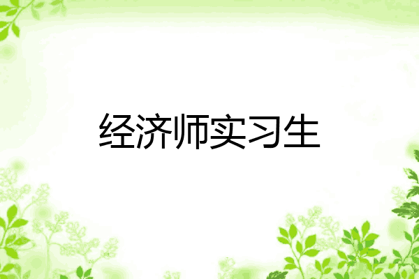 经济师实习生