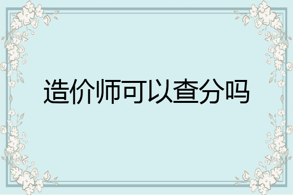 造价师可以查分吗