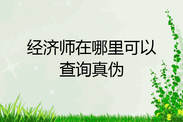 经济师在哪里可以查询真伪