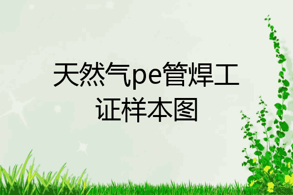 天然气pe管焊工证样本图