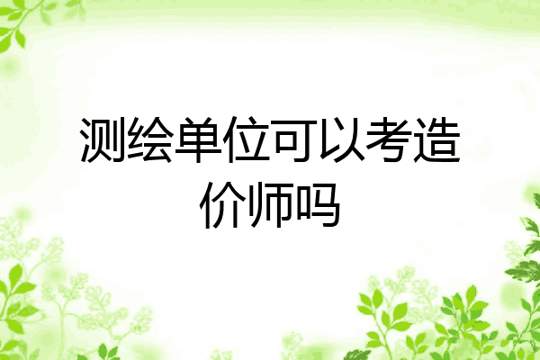 测绘单位可以考造价师吗