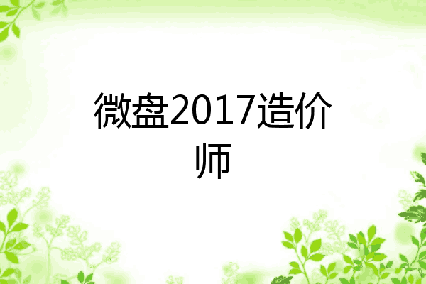 微盘2017造价师