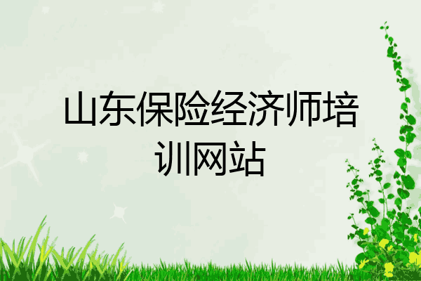 山东保险经济师培训网站