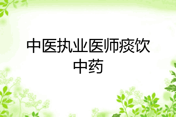 中医执业医师痰饮中药