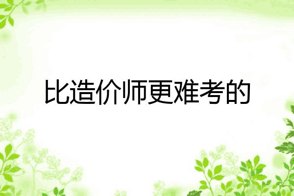 比造价师更难考的