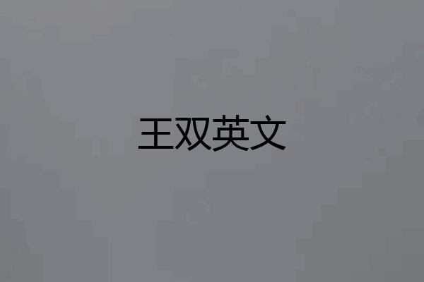 王双英文