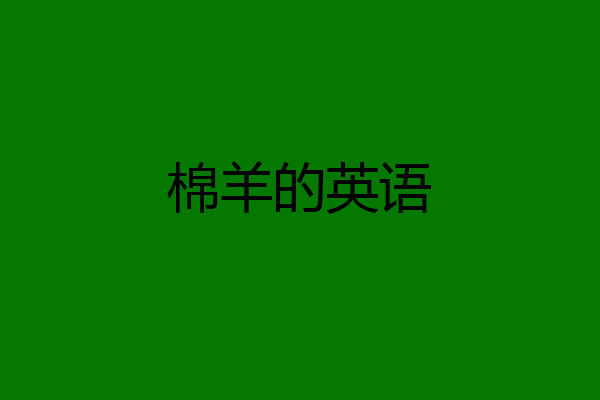 棉羊的英语