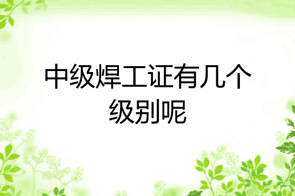 中级焊工证有几个级别呢