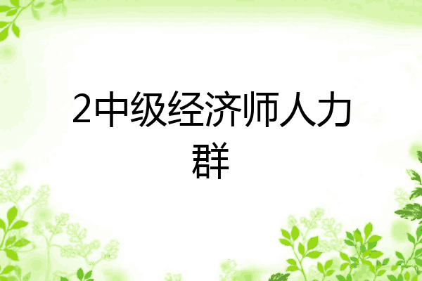 2中级经济师人力群