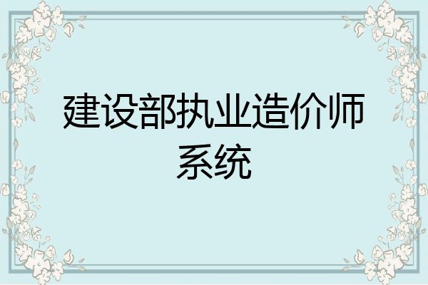 建设部执业造价师系统