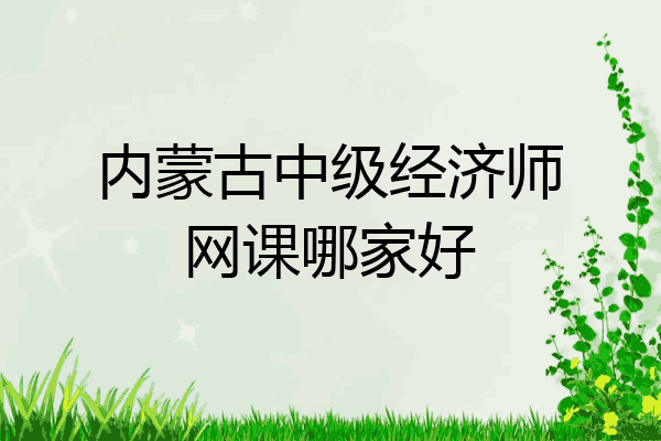 内蒙古中级经济师网课哪家好