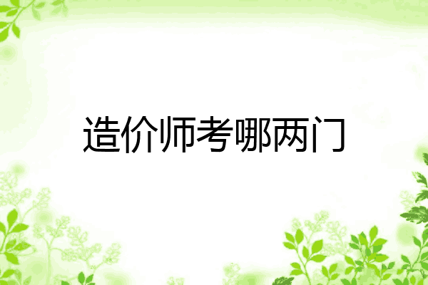 造价师考哪两门