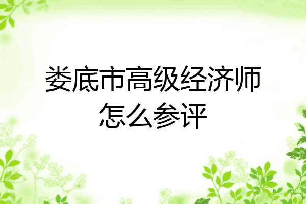 娄底市高级经济师怎么参评