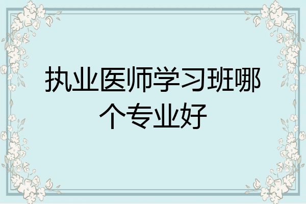 执业医师学习班哪个专业好