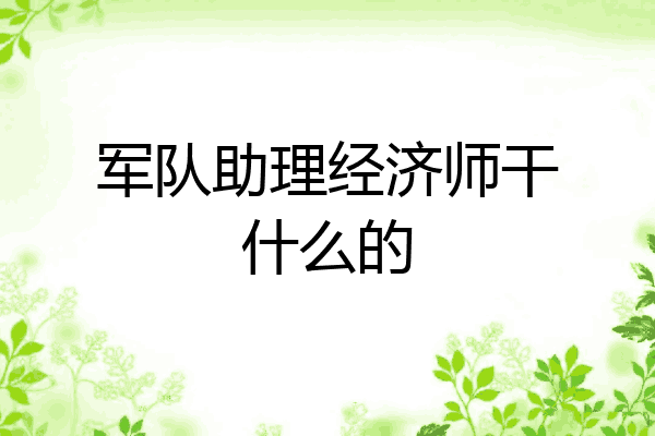 军队助理经济师干什么的