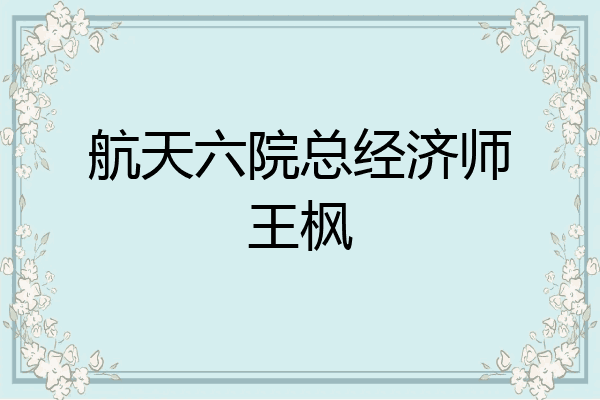 航天六院总经济师王枫