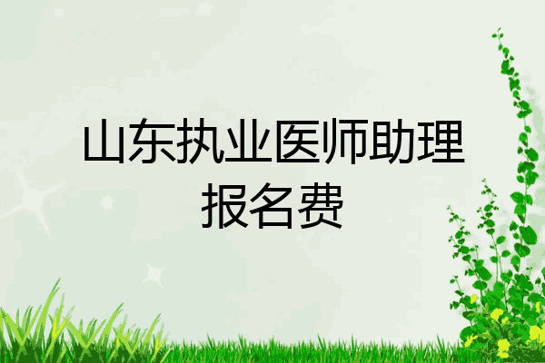 山东执业医师助理报名费