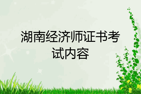 湖南经济师证书考试内容