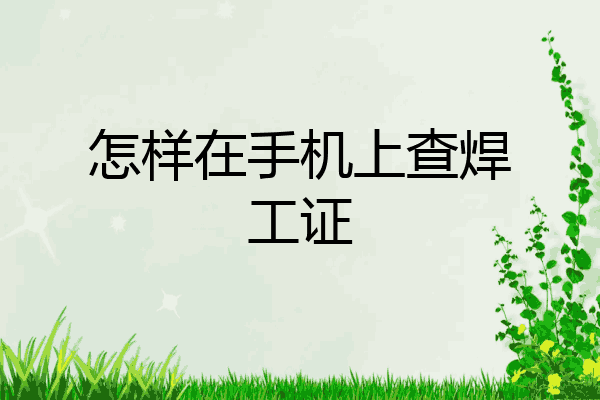 怎样在手机上查焊工证