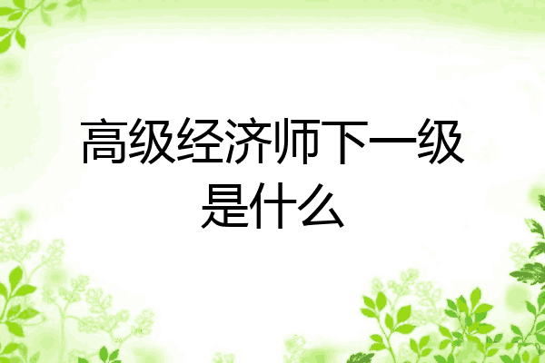高级经济师下一级是什么