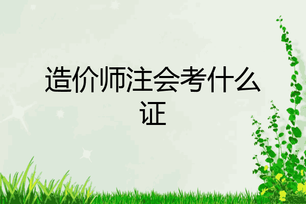 造价师注会考什么证