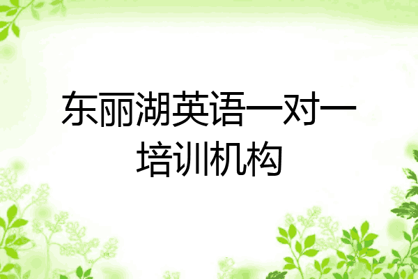 东丽湖英语一对一培训机构