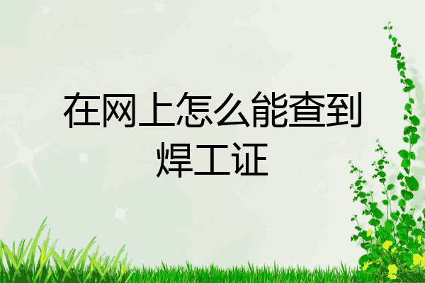在网上怎么能查到焊工证