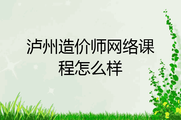 泸州造价师网络课程怎么样